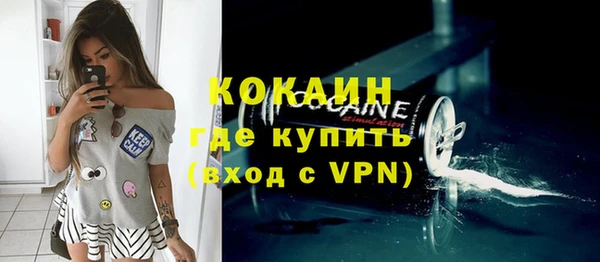 гашик Козловка