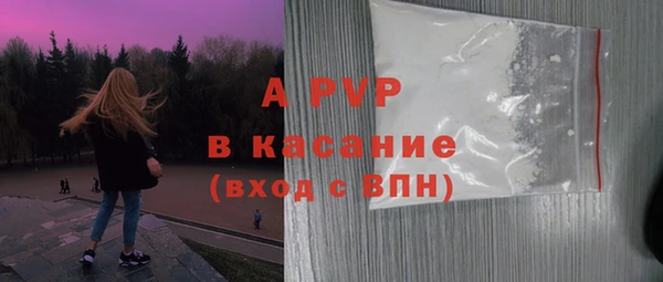гашик Козловка