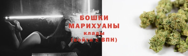 гашик Козловка