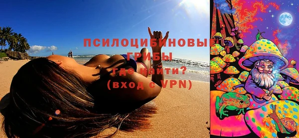 гашик Козловка