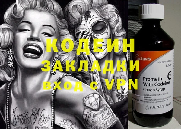 гашик Козловка
