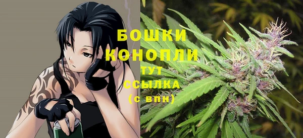гашик Козловка