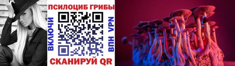 Галлюциногенные грибы мухоморы Купить Полевской